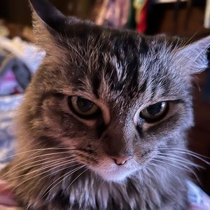 Meet your Posher, Tonia